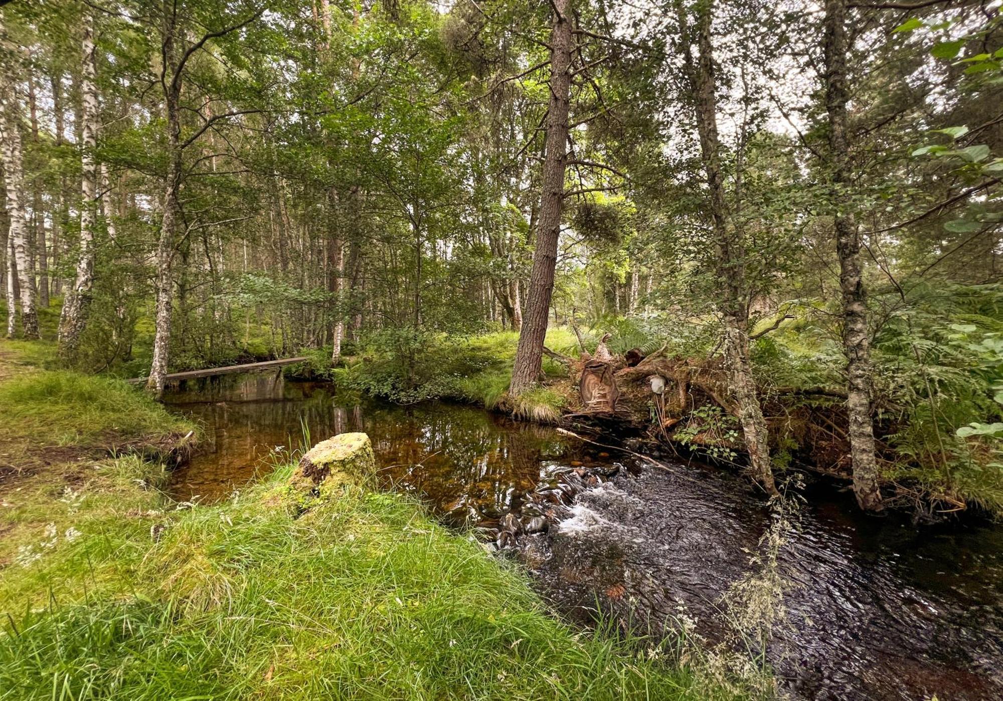 Cairngorm Lodge Rothiemurchus Aviemore Luaran gambar